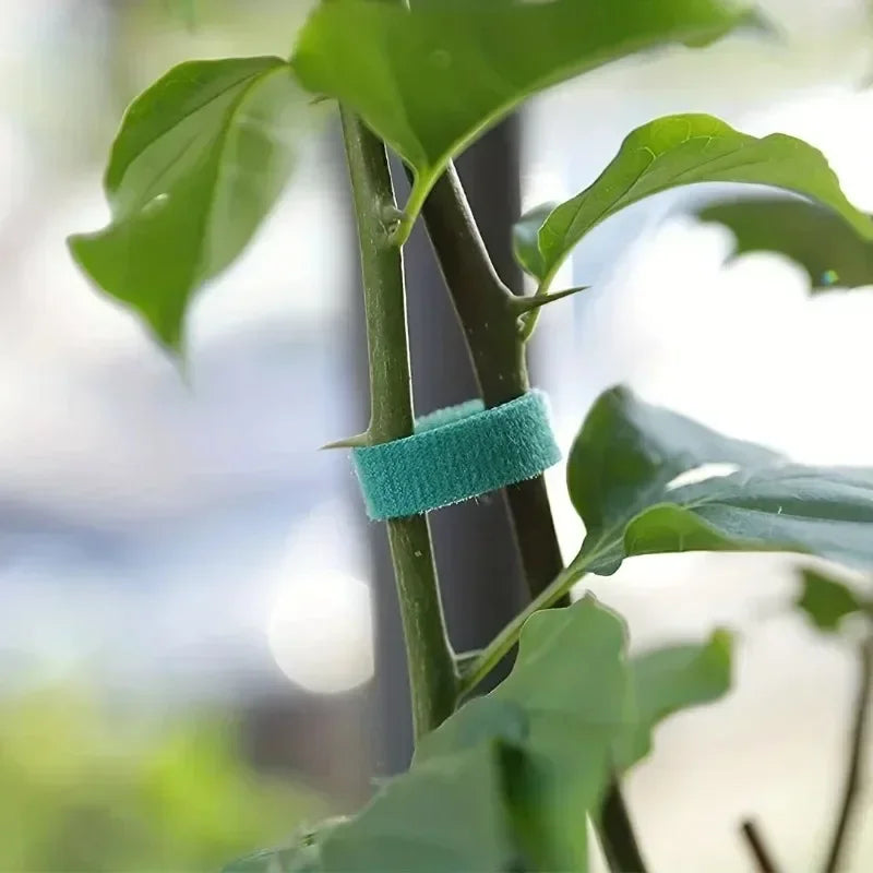 Self Adhesive Plant Nylon Cable Tie Plants Hook